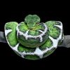 Baby Amazon Basin Emerald Tree Boa